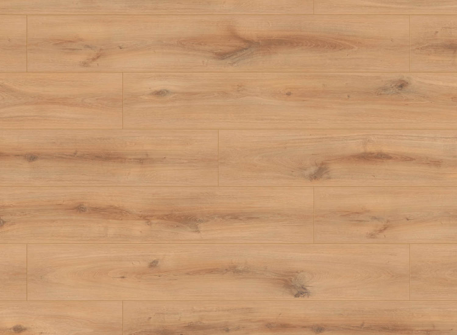 BIONYL PRO - HAMILTON OAK - 1533